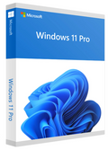Windows 10/11 Pro
