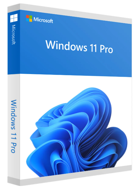 Windows 10/11 Pro